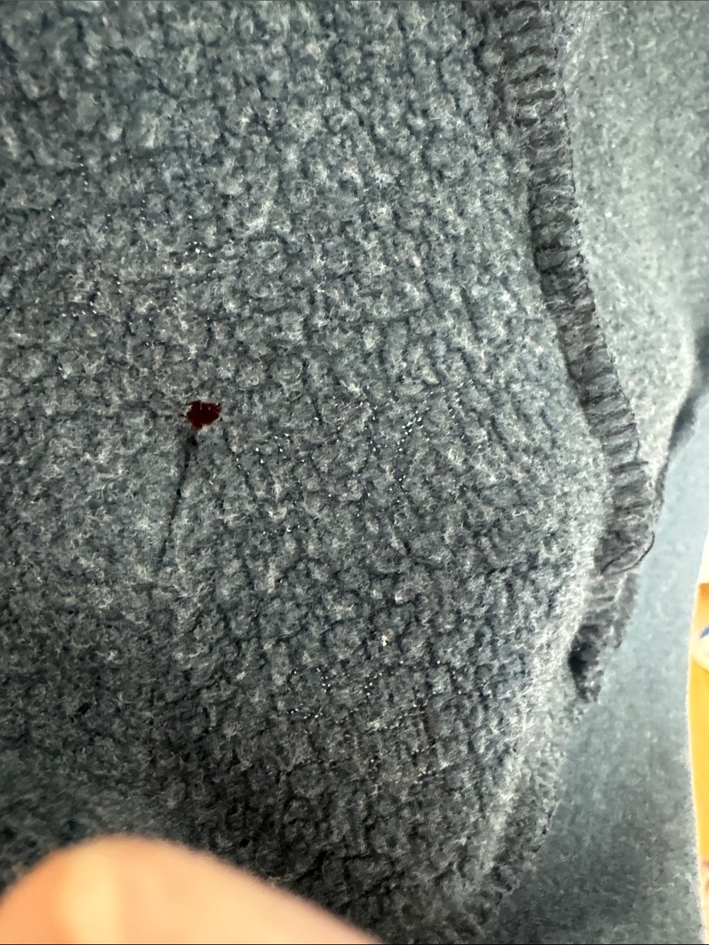 Aviator Nation 5 stripe hoody in charcoal - Picture 8 of 9